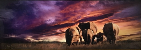Elephant Line by artist Gray Hawn